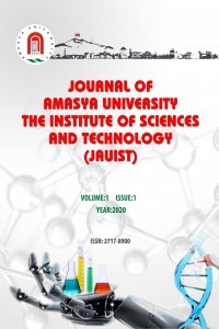 Journal of Amasya University the Institute of Sciences and Technology