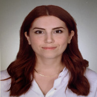 Didem Mimiroğlu
